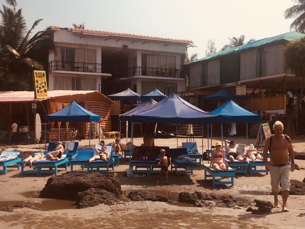 Boomerang Resort Mandrem Extérieur photo