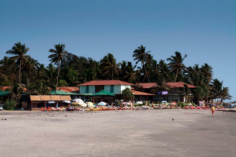 Boomerang Resort Mandrem Extérieur photo